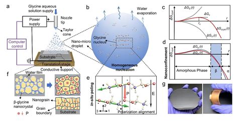  Resorbable Polymers: En Revolutionär Biomaterial för Innovativa Medicinska Tillämpningar!